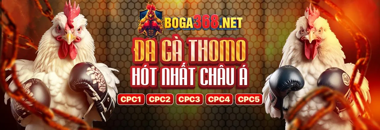 Hình ảnh Okking Nhà Cái với các tính năng ưu việt cho người chơi Baccarat