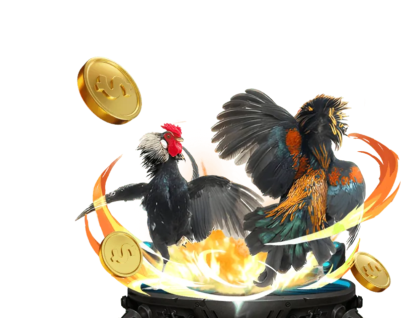 Chương Trình Hoàn Trả Okking