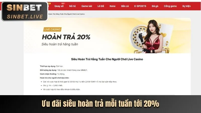 Hoàn Trả Cược Okking